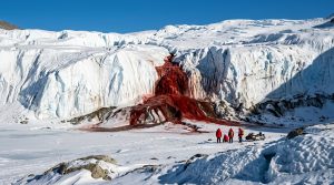 A horizontal, high-contrast shot of Blood Falls in Antarctica, showing a dark red, blood-like waterfall pouring out of a pure white glacier.
