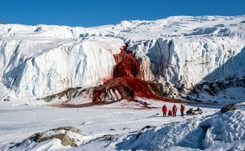 A horizontal, high-contrast shot of Blood Falls in Antarctica, showing a dark red, blood-like waterfall pouring out of a pure white glacier.