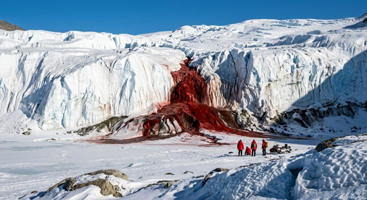 A horizontal, high-contrast shot of Blood Falls in Antarctica, showing a dark red, blood-like waterfall pouring out of a pure white glacier.